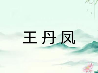 王丹凤