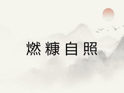 燃糠自照