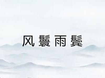 风鬟雨鬓