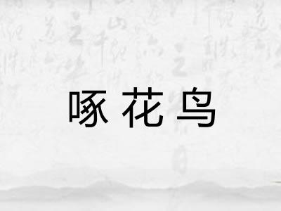 啄花鸟