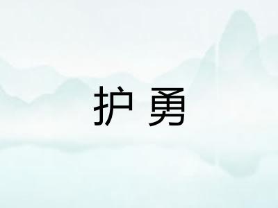 护勇