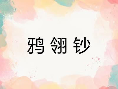 鸦翎钞