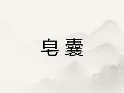 皂囊