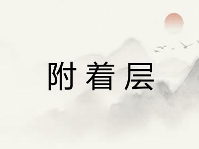 附着层