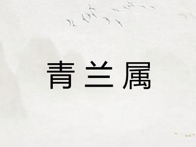 青兰属