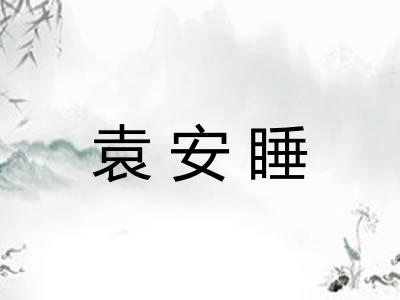 袁安睡