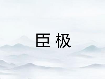 臣极