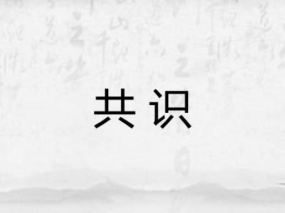 共识