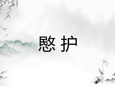 愍护