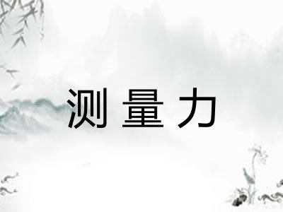 测量力