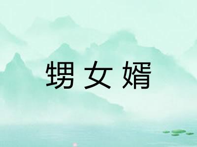 甥女婿