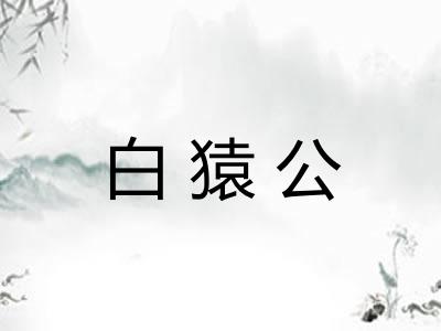 白猿公