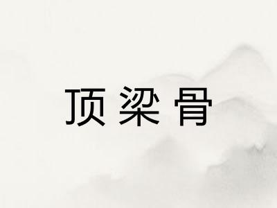 顶梁骨