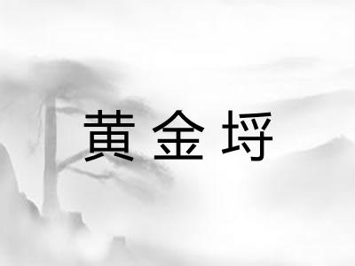 黄金埒