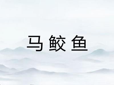 马鲛鱼