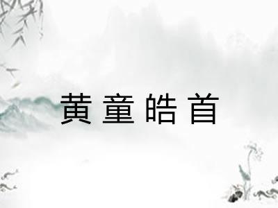 黄童皓首