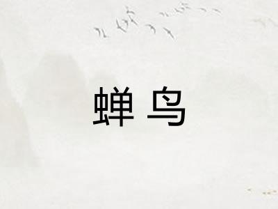 蝉鸟