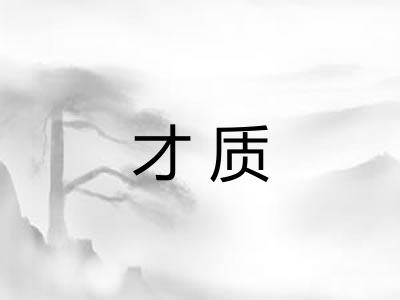 才质