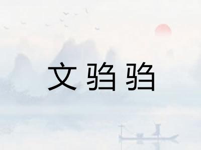 文驺驺
