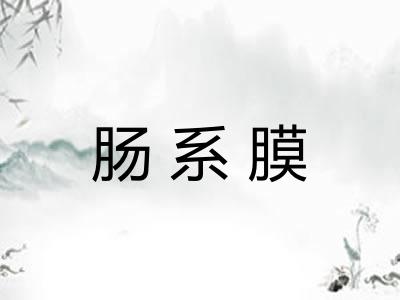 肠系膜