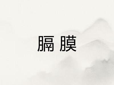 膈膜