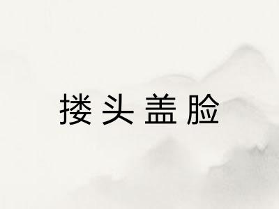 搂头盖脸