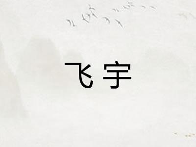 飞宇