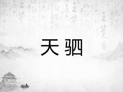 天驷