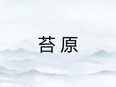 苔原