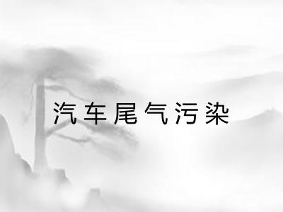 汽车尾气污染