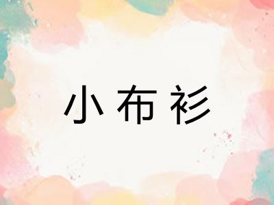 小布衫
