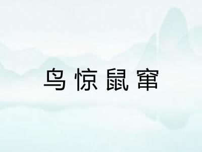 鸟惊鼠窜