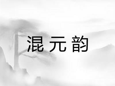 混元韵