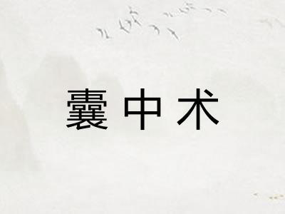 囊中术