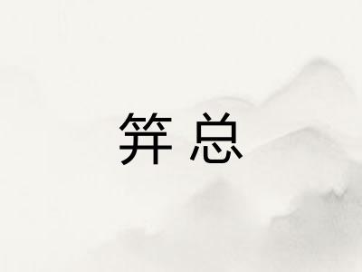 笄总