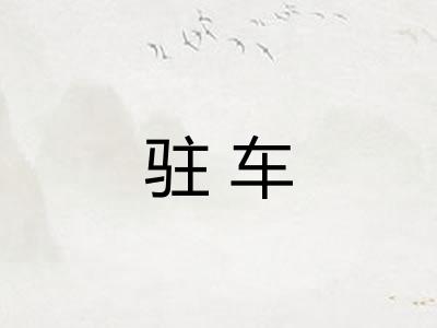 驻车