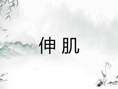 伸肌