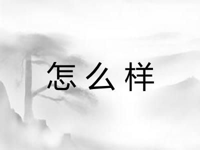怎么样