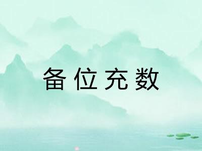 备位充数