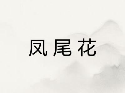 凤尾花