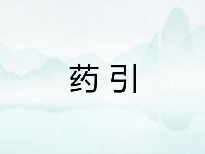 药引