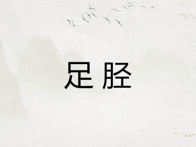 足胫