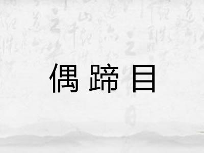 偶蹄目