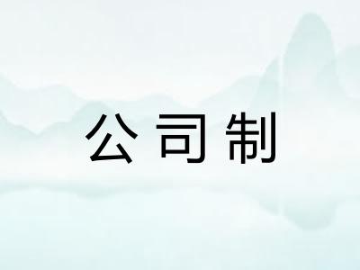 公司制