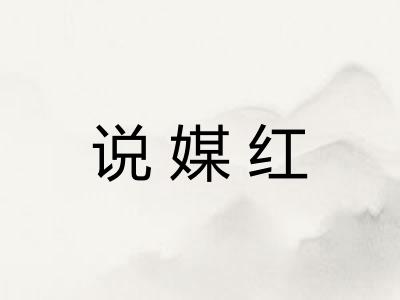 说媒红