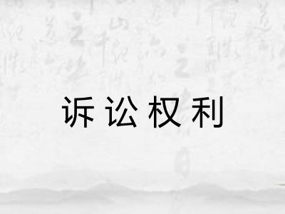 诉讼权利