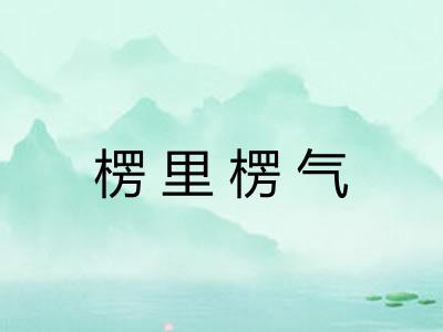 楞里楞气