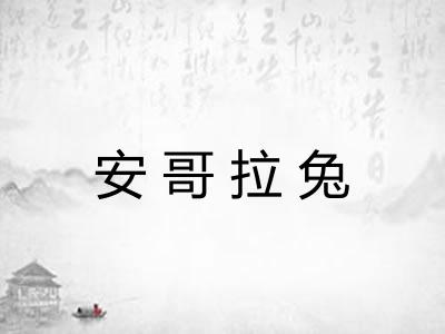 安哥拉兔