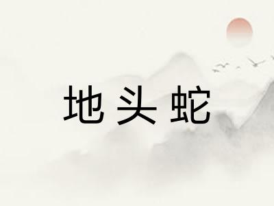 地头蛇