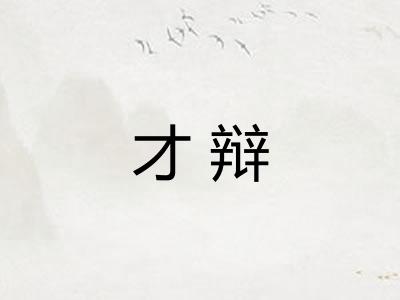 才辩